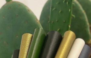 Cuir de cactus